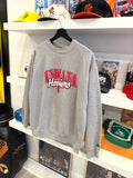 Vintage Indiana University Hoosiers Starter Sweatshirt Sz L