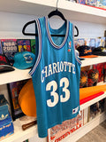Vintage Alonzo Mourning #33 Charlotte Hornets Champion Jersey Sz 40/ M Made in USA