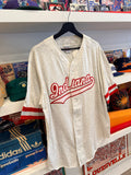 Vintage Indiana Baseball Jersey Sz L/XL Made in USA