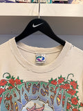 Vintage 1993 Grateful Dead Jester Seasons The Endless Tour Charles Everard Campbell Tie Dye T-Shirt Sz L Front and Back Graphics Made in USA