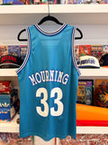 Vintage Alonzo Mourning #33 Charlotte Hornets Champion Jersey Sz 40/ M Made in USA