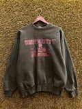 Vintage University of Illinois Springfield Sweatshirt Sz L