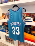 Vintage Alonzo Mourning #33 Charlotte Hornets Champion Jersey Sz 40/ M Made in USA